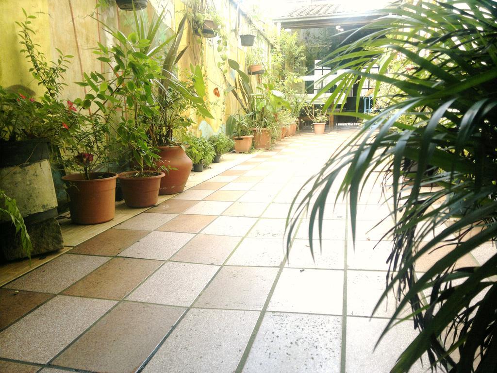 Pousada Flor Amarela Balneario Camboriu Luaran gambar